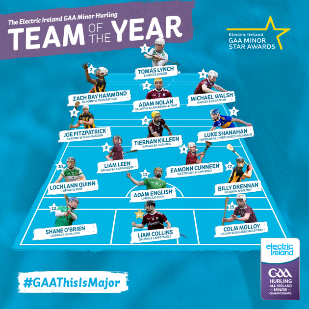 EI-Hurling-TeamoftheYear-1080 (2)