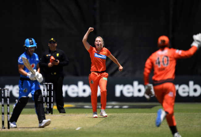 cricket-wbbl-scorchers-strikers