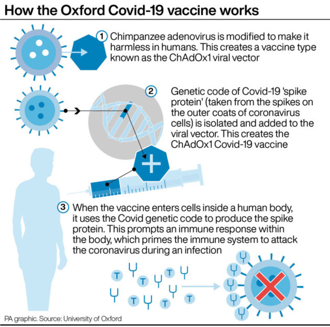 health-coronavirus