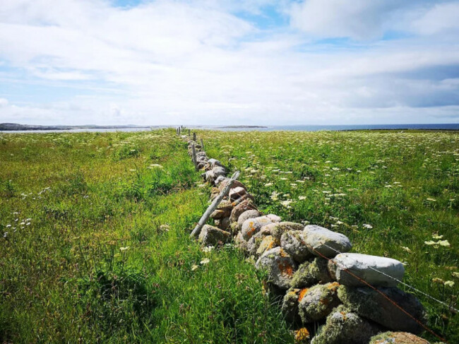 Example of high nature value farmland that can help support in troubled species like Corncrake