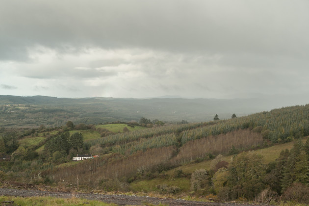 Conifer plantations in high nature value uplands in Co Leitrim