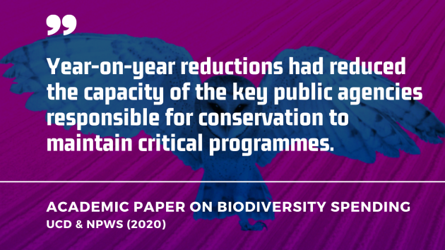 Year-on-year reductions had reduced the capacity of the key public agencies responsible for conservation to maintain critical programmes - UCD / NPWS