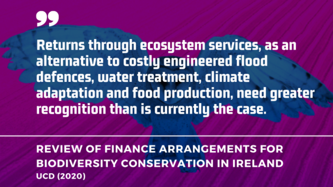 Returns through ecosystem services, as an alternative to costly engineered flood defences, water treatment, climate adaptation and food production, need greater recognition than is currently the case. - UCD