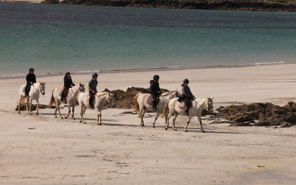HORSES ON THE BEACH 1L2A2884