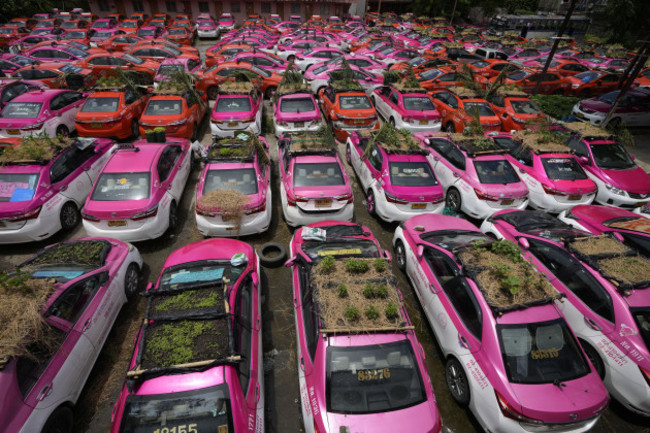 thailand-taxi-gardens