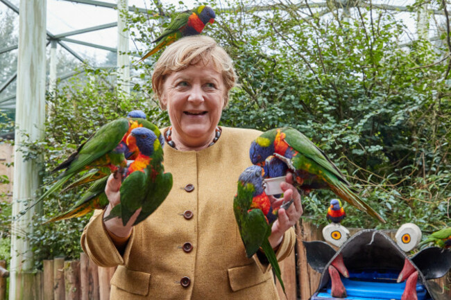 federal-chancellor-angela-merkel-visits-the-bird-park-marlow