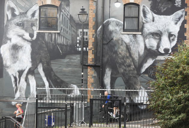9963 Foxes Mural