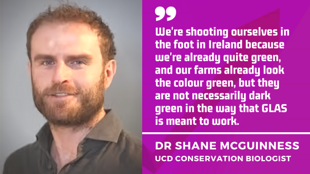UCD Conservation Biologist Dr Shane McGuinness - We're shooting ourselves in the foot in Ireland because we're already quite green, and our farms already look the colour green, but they're not necessarily dark green in the way that GLAS is meant to work