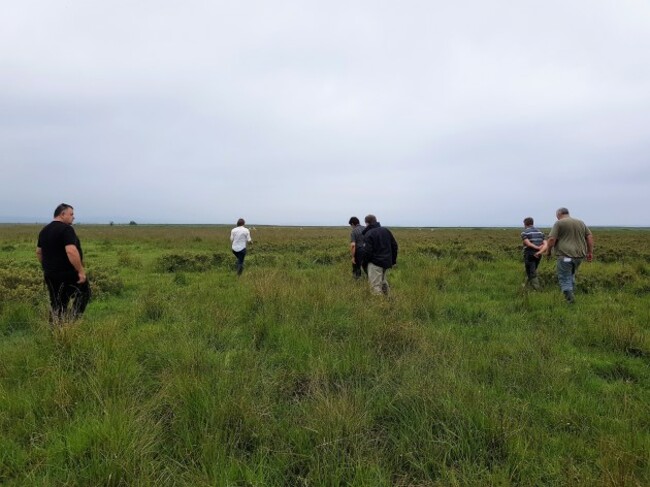 Kathryn Finney with farmers on training in the field for the breeding curlew project