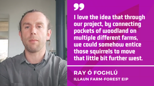 Ray Ó Foghlú,Illaun Farm-Forest project - I love the idea that our project could connect pockets of woodland on different farms and entice those squirrels to move further west