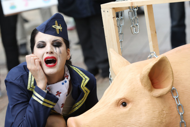 Pig protest 001