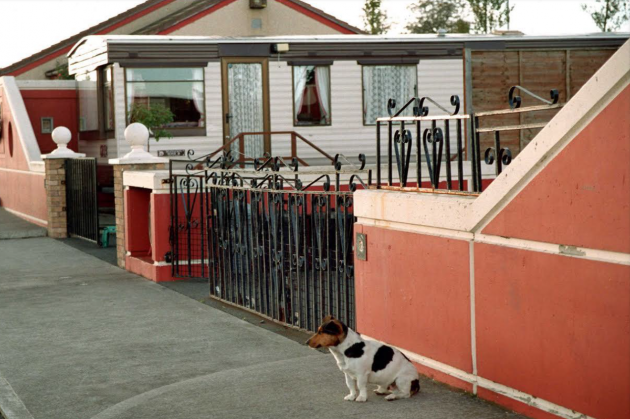 A small dog sits in front of a red and white wall with black gates. In the background there is a mobile home behind gates, with a house behind it. 