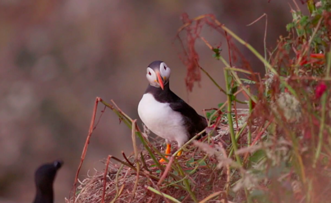 Screenshot 2021-11-03 at 16.44.01