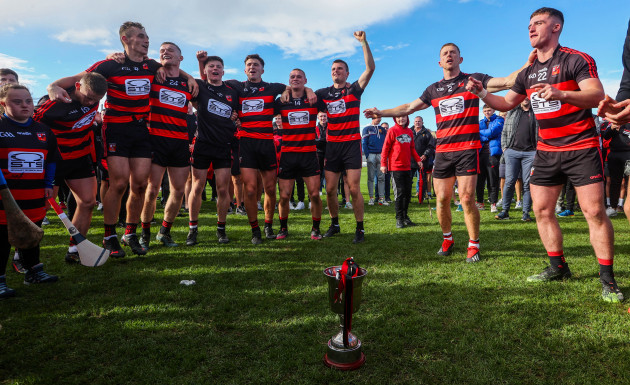 ballygunner-celebrate-after-the-game
