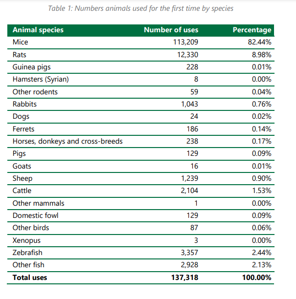 Animal testing halved in Ireland since EU directive, but activists say