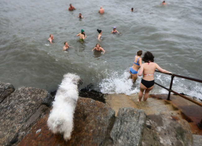 Christmas Day Swim 007