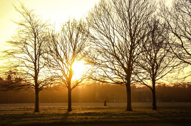 Phoenix Park Sunset 003