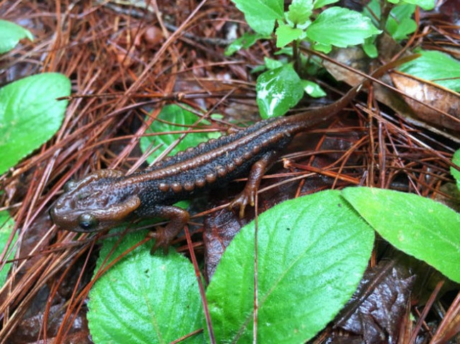 c7b03422-8282-4a17-b8c3-c3e7ac13511e