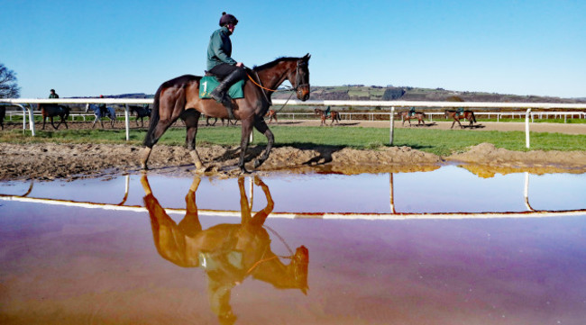 willie-mullins-stable-visit