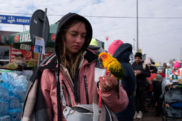 medyka-warsaw-poland-27th-feb-2022-anastasiya-a-refugee-from-kyiv-looks-at-her-parrot-after-having-crossed-the-ukrainian-polish-border-on-february-27-2022-in-medyka-poland-according-to-the-b