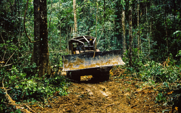 logging-of-mahogany-amazon-rainforest-paragominas-para-state-brazil-south-america