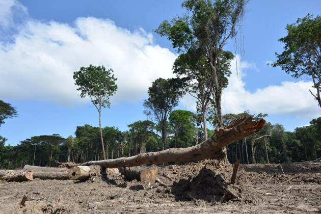 Amazon Rainforest Reaching ‘tipping Point’ Faster Than Expected ...