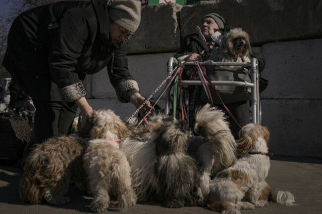 russia-ukraine-war-pets-photo-gallery