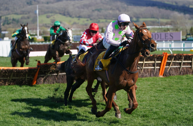 vauban-ridden-by-paul-townend-on-their-way-to-winning-the-jcb-triumph-hurdle-during-day-four-of-the-cheltenham-festival-at-cheltenham-racecourse-picture-date-friday-march-18-2022