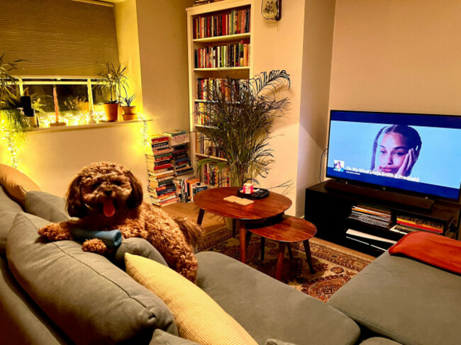 b0997242-86b7-4edf-a8c9-a7d9af1ae020