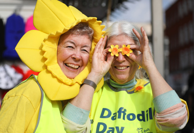 Daffodil Day 004