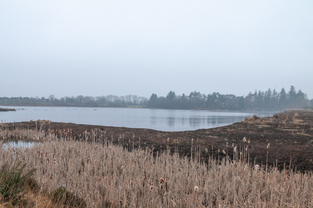 Photo of an artificial lake that has formed where peat was cut on a bog