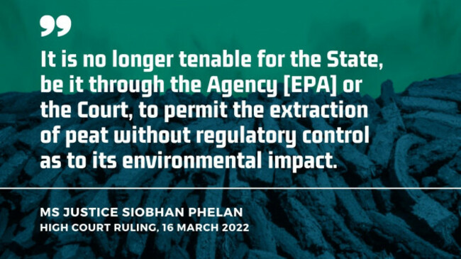 Quote from Ms Justice Siobhan Phelan from her recent High Court judgement