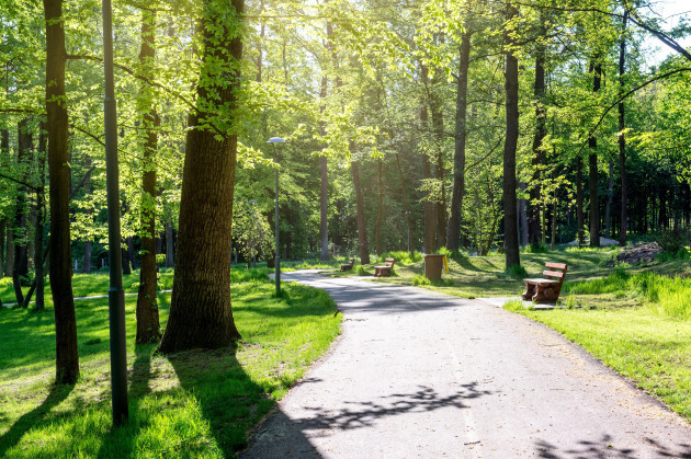 beautiful-park-with-bicycle-road-and-benches-bucha-near-kyiv