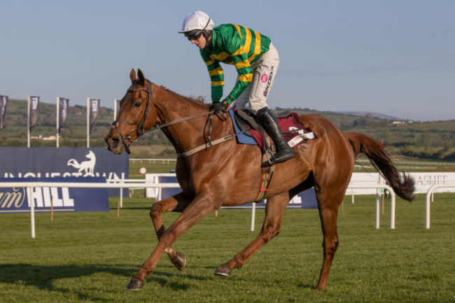 mark-walsh-onboard-capadanno-celebrates-winning