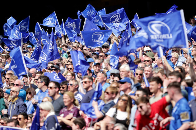 leinster-fans-celebrate-james-lowes-try