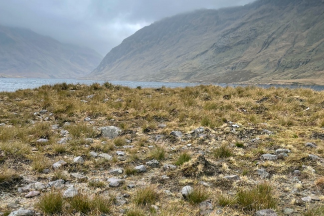 Grass is interspersed between bare soil and rock on a patch of land beside a lake with two mountains behind.