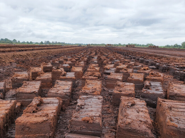 Photo of a bog with cut peat