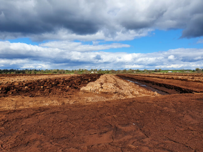 Photo of a bog with cut peat