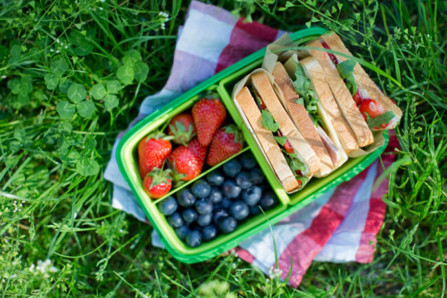 lunchboxwithhealthysandwichesstrawberryandblueberry-healthypicnicat