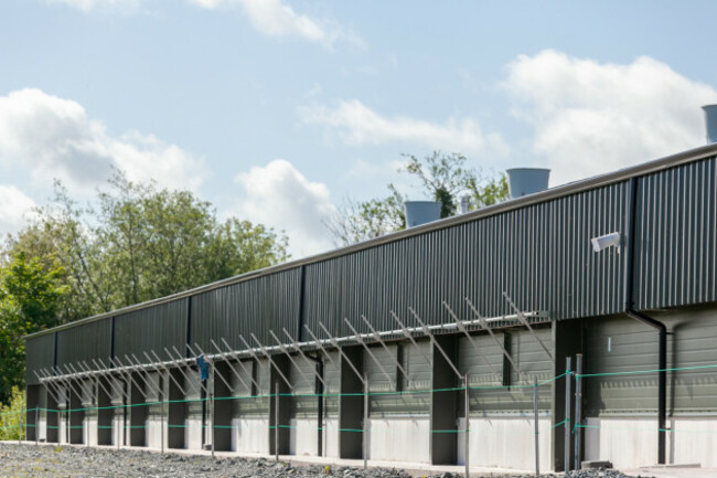 Side and roof of a poultry shed with air vents coming out the top of the roof