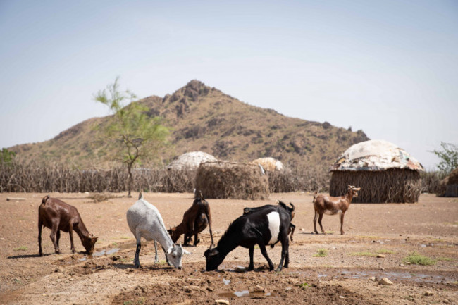 drought-food-insecurity-in-northern-kenya