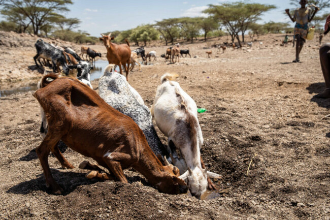 drought-food-insecurity-in-northern-kenya