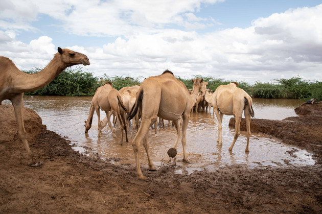 climate-adaptation-in-eastern-kenya