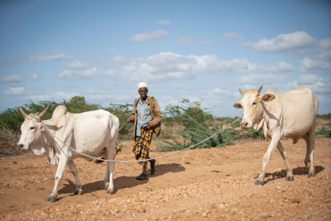 climate-adaptation-in-eastern-kenya