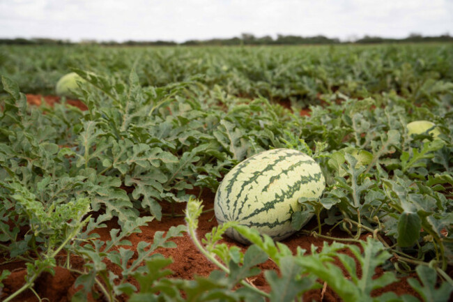 climate-adaptation-in-eastern-kenya