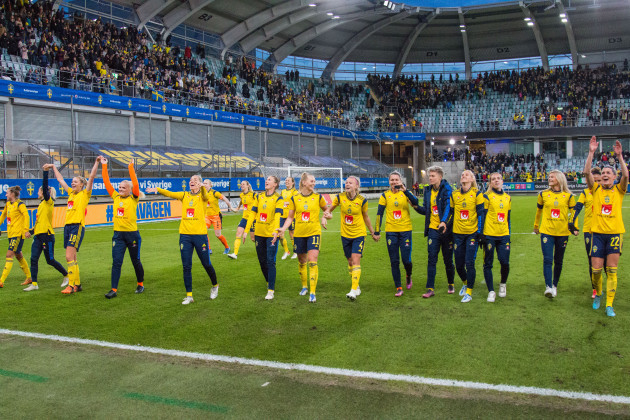 sweden-celebrate-qualifying-for-the-world-cup