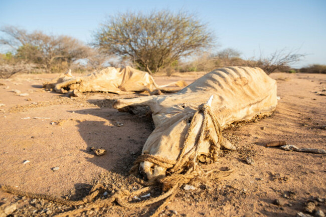 climate-adaptation-in-eastern-kenya