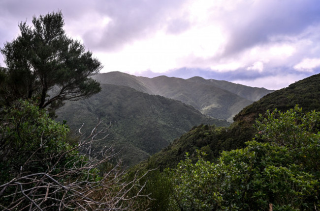 new-zealand-views