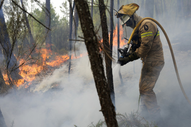 portugal-forest-fires