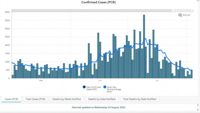 Cases Covid Summer 2022